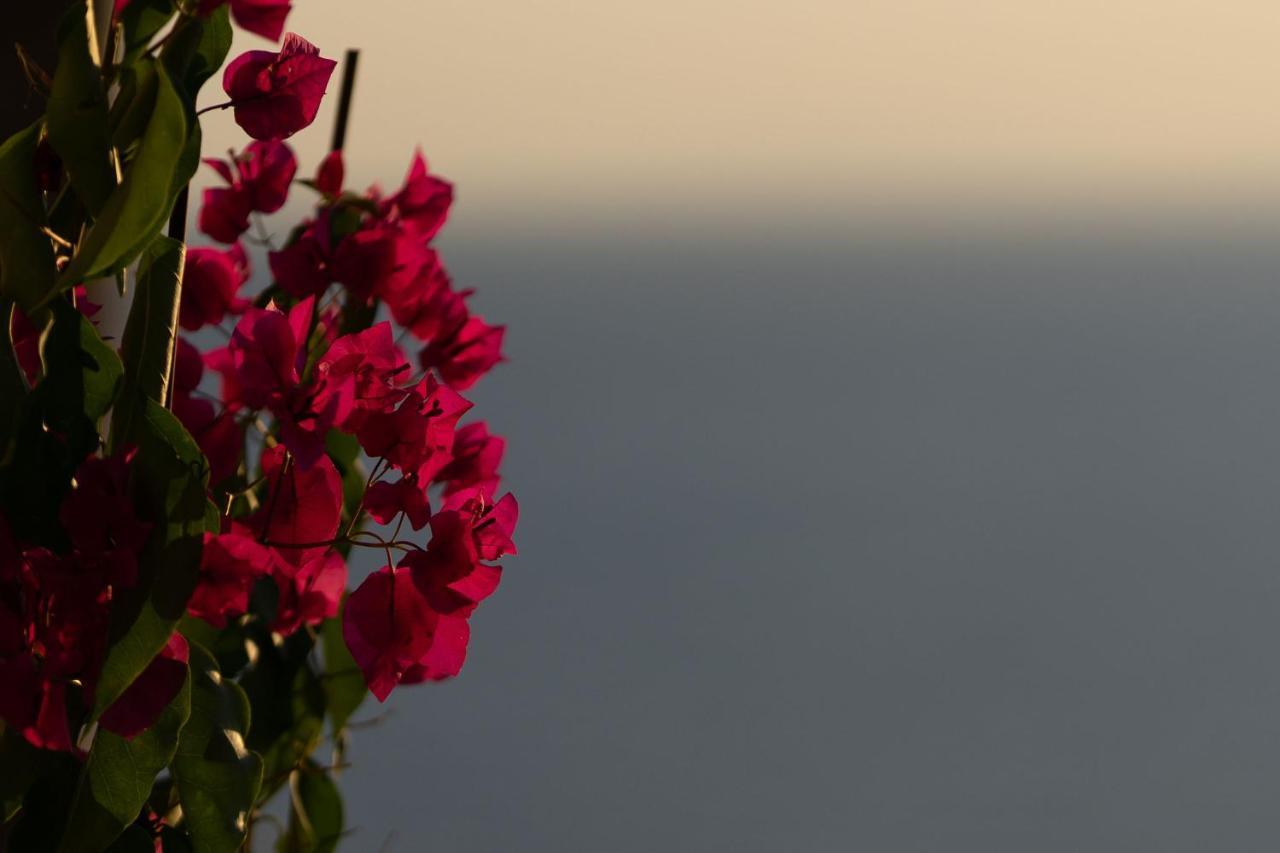 Villa Carpe Diem: Sea & Sunset View In Kea Island Ioulis Exterior photo